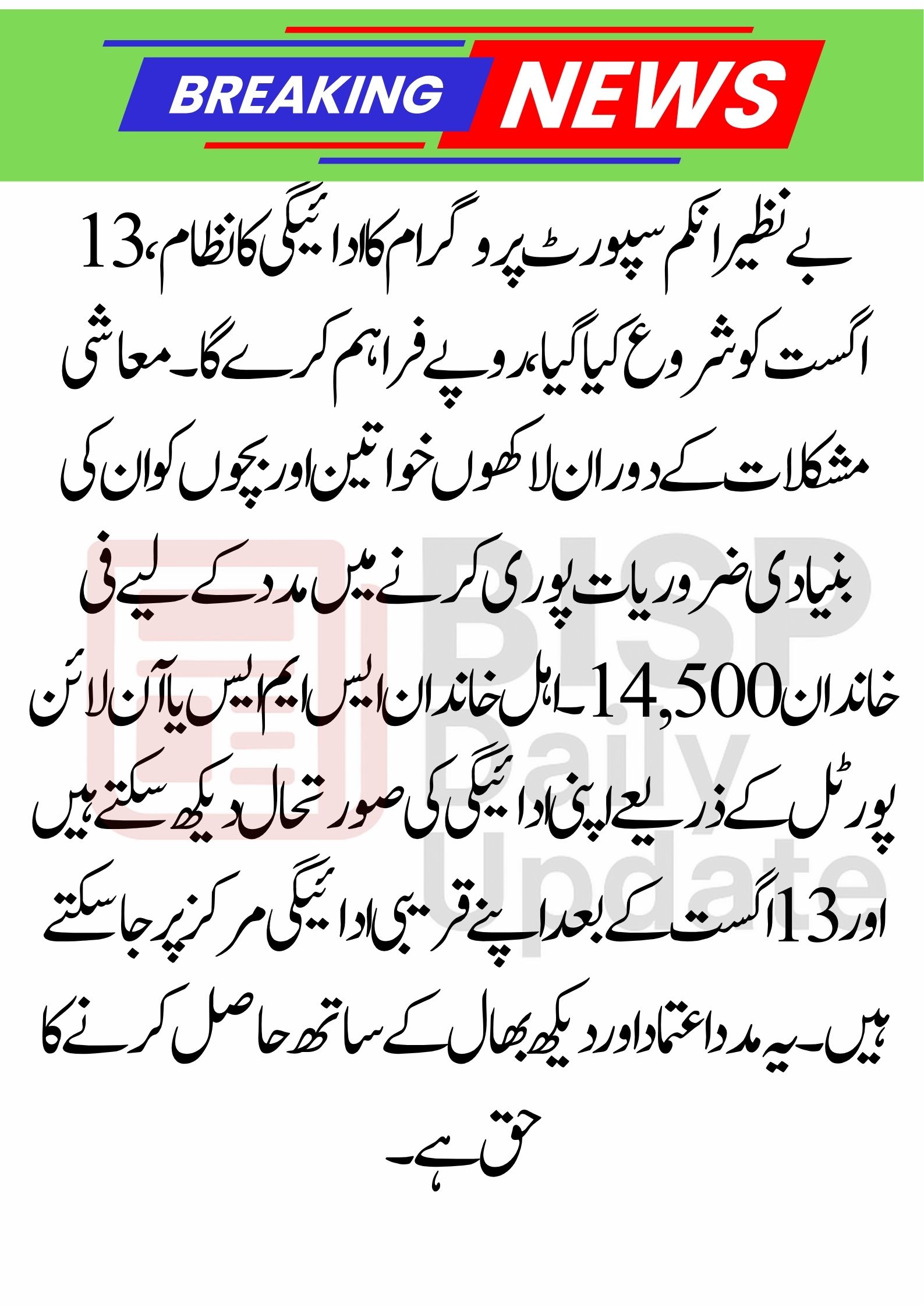 Benazir Income Support Program